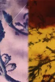 Poster do filme Harbour City