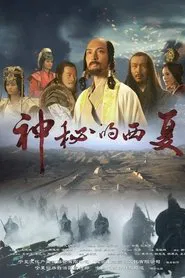 神秘的西夏 tv show poster