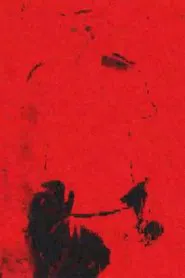-Pursuit.VocaleE.: Post-Programmazione movie poster