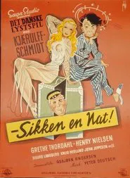 Sikken en nat movie poster