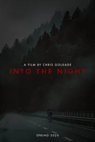 Poster do filme Into The Night