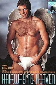 Hairway to Heaven movie poster