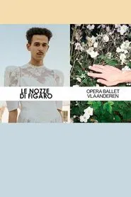 Le Nozze Di Figaro - Opera Ballet Vlaanderen movie poster