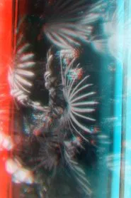 Lomokino Greenhouse Stereo movie poster