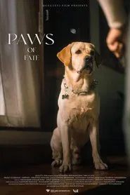 Paws of Fate movie poster