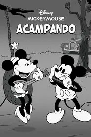 Poster do filme Acampando