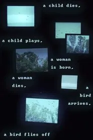 A child dies, a child plays, a woman is born, a woman dies, a bird arrives, a bird flies off movie poster