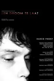 Een Droom Te Laat movie poster
