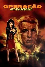 Poster do filme Operação Arriscada