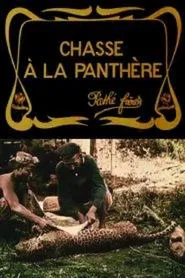 Poster do filme Hunting the Panther