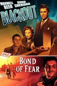 Poster do filme Blackout
