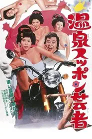 Poster do filme Turtle Geisha