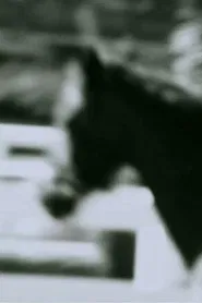Untitled (Horse) movie poster