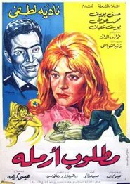 Widow Wanted movie poster