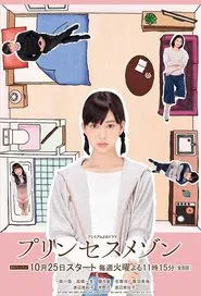 Princess Maison tv show poster