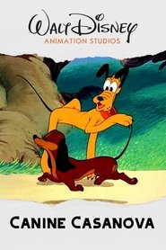 Poster do filme Canine Casanova