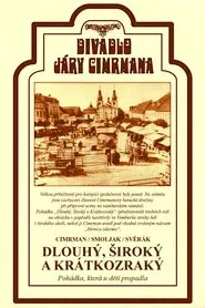 Long, Broad and Nearsight movie poster