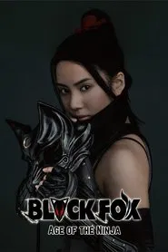 Black Fox: Age of the Ninja movie poster