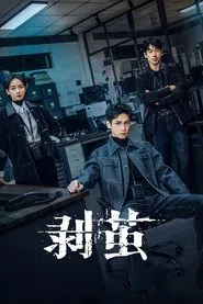 The Truth Within tv show poster