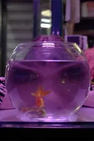 Poster do filme Baby Moon Park