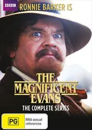 The Magnificent Evans tv show poster