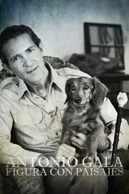 Antonio Gala: figura con paisajes movie poster