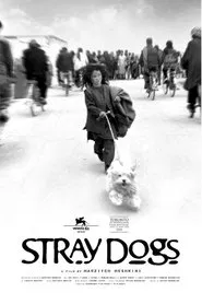 Stray Dogs movie poster