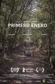First January movie poster