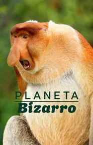 Poster da série Planeta Bizarro