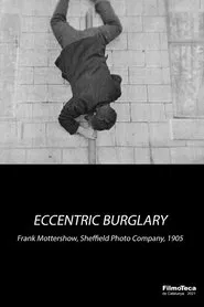 An Eccentric Burglary movie poster