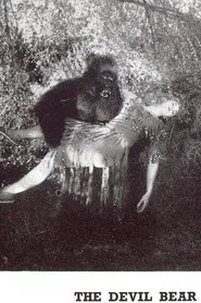 Poster do filme The Devil Bear