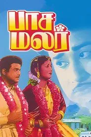 Pasamalar movie poster