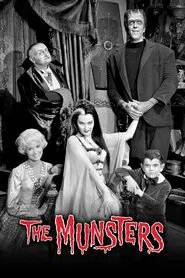 The Munsters tv show poster