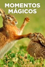 Poster do filme Momentos Mágicos