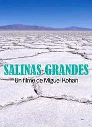 Salinas grandes movie poster