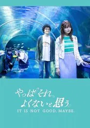 It Is Not Good, Maybe. movie poster