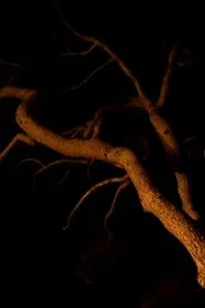 Poster do filme L'Ultimu Sognu – Last Dream in Petra Bianca