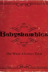 Oh! What a Lovely Tour - Babyshambles Live movie poster