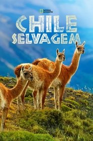 Poster da série Chile Selvagem