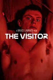 The Visitor movie poster