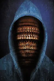Defeating the Hackers movie poster