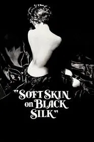 Soft Skin on Black Silk movie poster