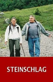Steinschlag movie poster