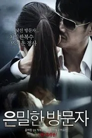 Poster do filme Secret Visitor