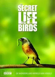 Iolo's Secret Life of Birds tv show poster