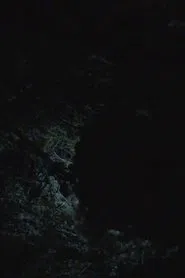 Poster do filme All the Planets in My Heart