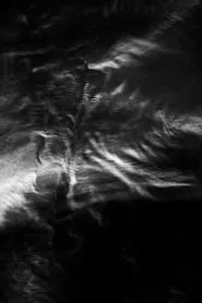 Esmark - Husby-klit Bk. movie poster