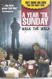A Year 'til Sunday movie poster