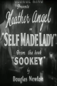 Poster do filme Self Made Lady