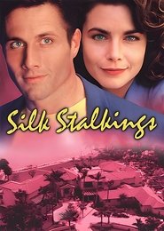 Silk Stalkings tv show poster